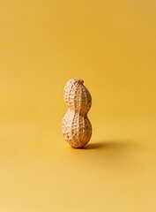 땅콩, 견과류, 콩류, 알레르기, 컨셉, 궁굼하다, 속이 알차다, 하나, 까다, 수확, 재배, 재료, 잼