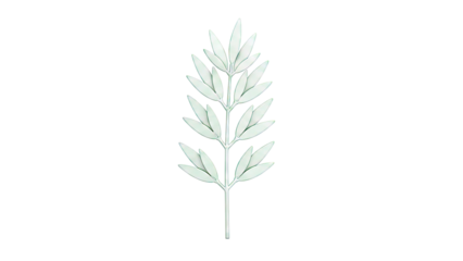 Green Plant Branch with Leaves