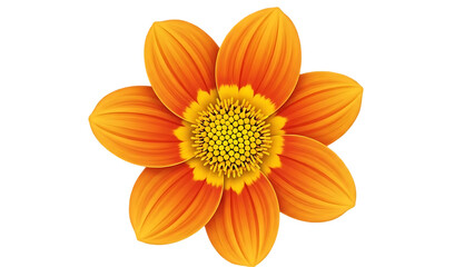 Bright orange flower