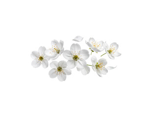 ดีไซน์ที่ยังไม่ได้ตั้งชื่อ - 31