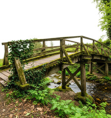 Wooden bridge over stream surrounded by greenery nature scene isolated on transparent background