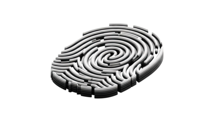 3D Fingerprint Maze