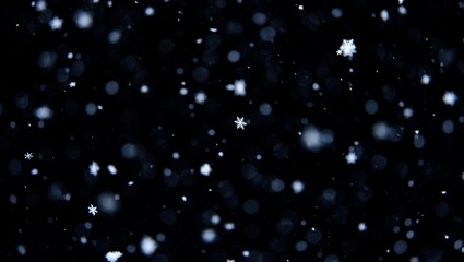 Snow overlay transparent, realistic, decorative, seasonal, winter, festive, icy, cold, sparkling, subtle, magical, gentle, soft, layered, light, bright, texture, effect, background, creative, design, 