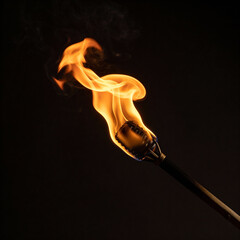 Flame burning on torch against dark background  
