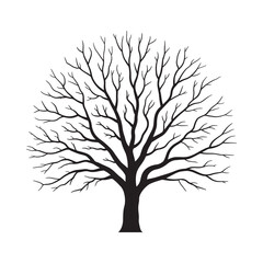 Obraz premium A stark bare tree illustration in black and white showcasing winter s form