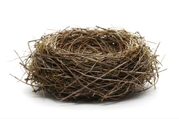 Empty Natural Bird Nest Made of Twigs and Dry Grass Isolated on White