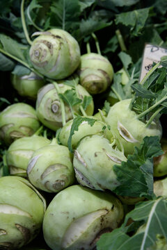 Fresh kohlrabi at weekly outdoor market in Upper Bavaria Germany