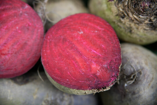 Organic beet root at weekly outdoor market in Wolfratshausen, Germany