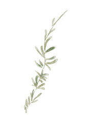 Fototapeta premium Watercolor leaves
