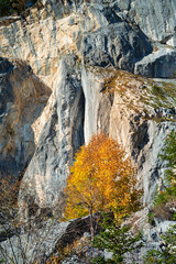 Felssturz in den Alpen