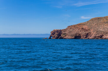 Blue water in Berlenga island