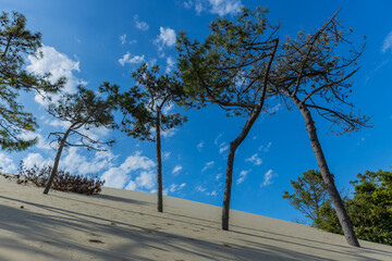 Dune of Pilat in France