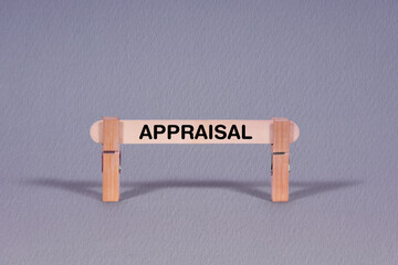 Fototapeta premium Appraisal symbol. Single Wooden stick restrained by Clothespins, beautiful Gray Background. Business and Appraisal concept with copy space