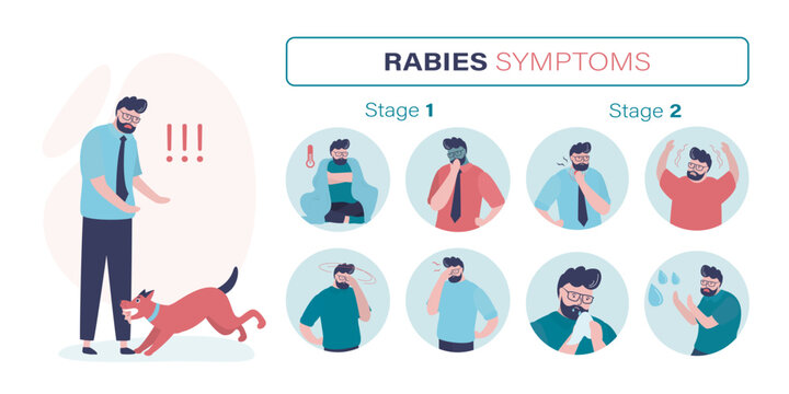 Infographic Symptoms of Rabies. Poor sick man after being bitten by a rabid dog. Medical banner. Health care concept.