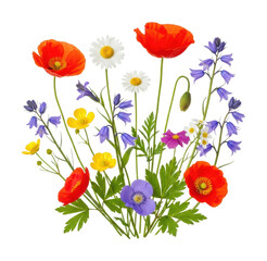 Fototapeta premium Vibrant wildflowers in bloom nature digital bright garden isolated on transparent background