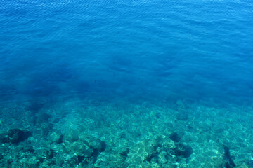 Fototapeta premium The transparent turquoise sea water reveals small black fish swimming over the rocky bottom under the bright summer sun.