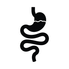 Obraz premium Simple illustration of a human stomach and small intestine anatomy