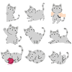 Set of Cute Gray Cat Illustrations Showing Various Sweet Poses