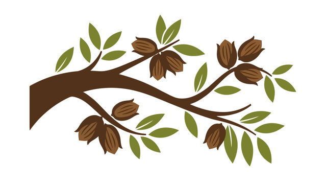 Pecan Tree Branch with Nuts and Green Leaves Texas State Tree Illustration