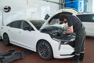 Fototapete bei efototapeten.de bestellen   