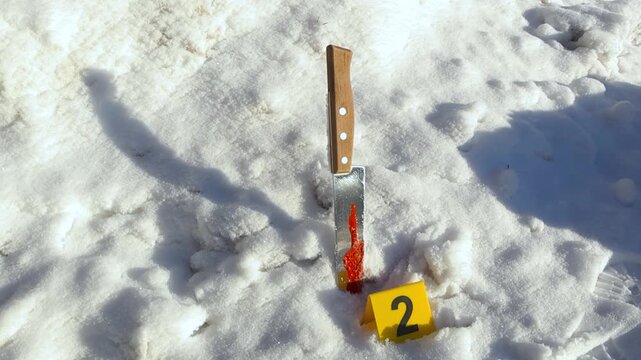 Yellow colored forensic police science crime scene marker placed next to a bloody knife that is upright in white fluffy winter snow during a sunny day. The knife reflects the sunlight, frozen.