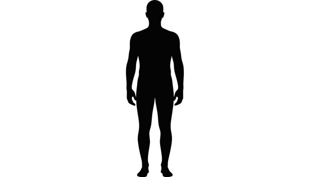 A male person standing upright in a frontal view, depicted as a silhouette against a plain background, showcasing the human form