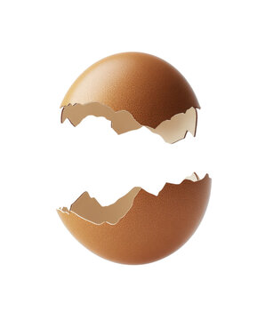 brown broken egg shells isolated on white or transparent png