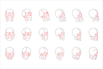 Obraz premium Human Skull Head at different angles