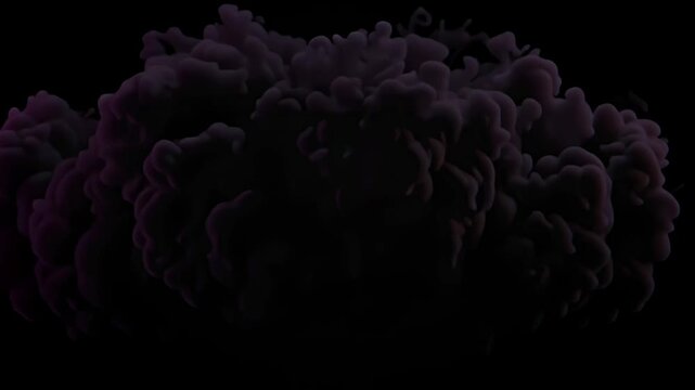 A sequence shows the creation of a large smoke cloud. It begins with the initial blast and moves through the thickening stages. The frames capture the changes in shape and density