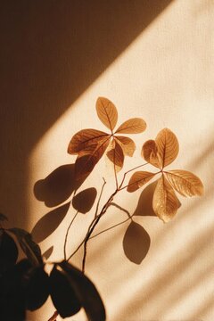 Sunlit wall with a slender branch bearing five palmately arranged leaves, casting warm amber shadows. Concept Sunlit wall textures, Five-leaf palmately arranged branch, Warm amber shadows