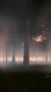 Flight through forest covered in fog against magical sunset, vertical video