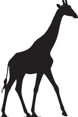 Fototapeta premium Walking Giraffe Silhouette Vector Isolated on White Background 