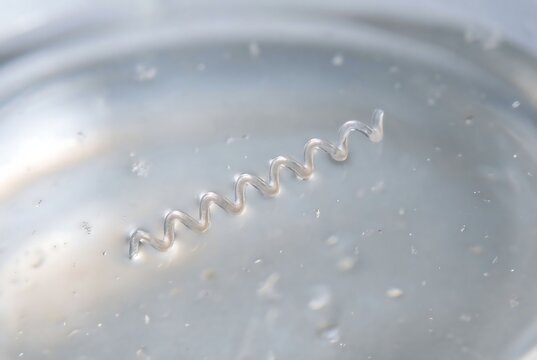 Microscopic parasitic worm larva in water