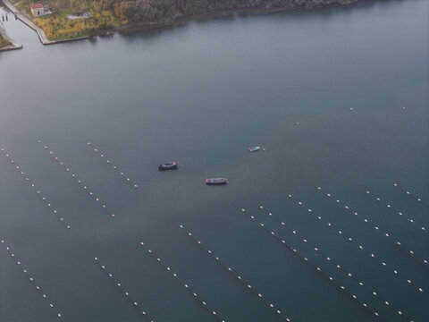 Aerial view of the calm, dark waters punctuated by rows of oyster farms and a scattering of boats, Fusaro Lake, Bacoli, Campania, Italy.