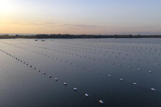 Aerial view of symmetrical rows of white buoys float on the serene waters of Fusaro Lake under the soft, fading light of dusk, Bacoli, Campania, Italy.
