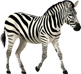 Zebra Vector Side View