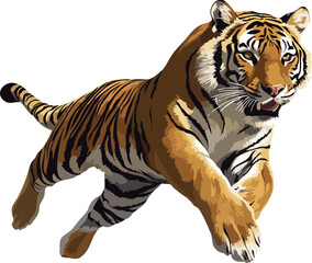 Tiger Vector Side View