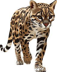 Ocelot Vector Side View