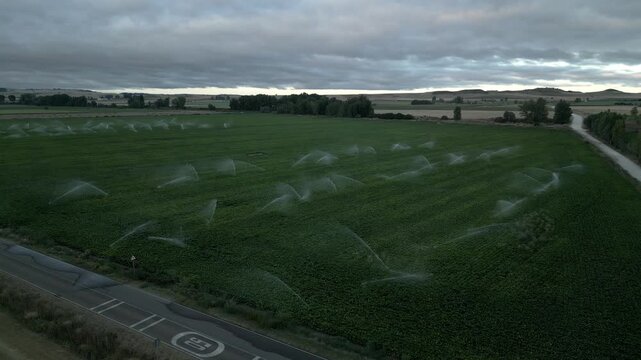 The sprinklers irrigating fields, Early morning hours in northern Spain