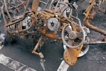 Fototapety na wymiar - Fototapeta24.pl