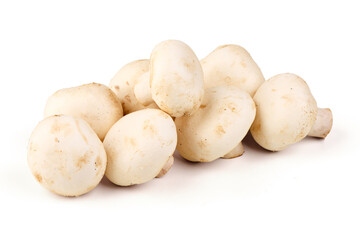 White Mushrooms Group, isolated on white background