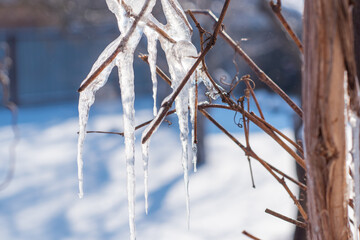 Dangerous icicles hanging from roof in winter city