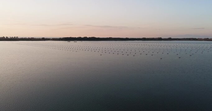 Aerial view of the oyster farm in Fusaro Lake, the calm waters reflecting the soft light of the sky, Fusaro Lake, Campania, Italy.