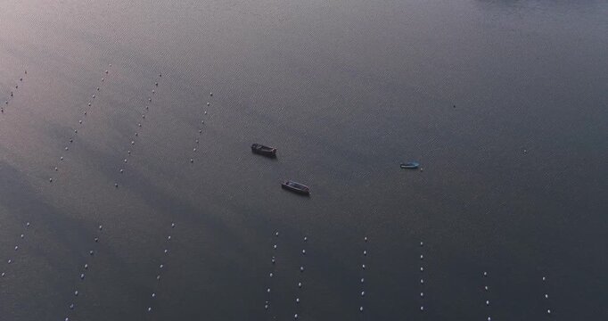 Aerial view of boats floating on the calm, dark waters of Fusaro Lake, with rows of buoys creating striking patterns mussel farm, Fusaro Lake, Campania, Italy.
