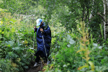 Child in blue raincoat hiking uphill on nature trail with trekking poles