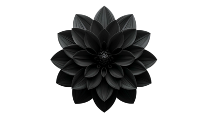 A stylized, monochromatic dahlia flower, centered on a black background