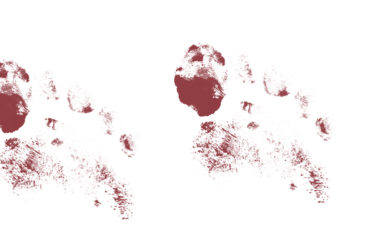 Red wine footprints or paw prints isolated on transparent background