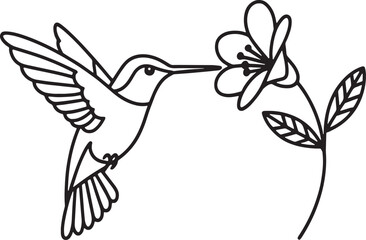 Obraz premium Black outline hummingbird feeding from a delicate flower on a white background nectar