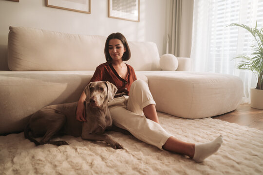 woman and dog in peaceful room, tranquil scene of woman and dog basking in gentle morning light at home