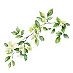 Fototapeta premium Spring floral art illustration watercolor.